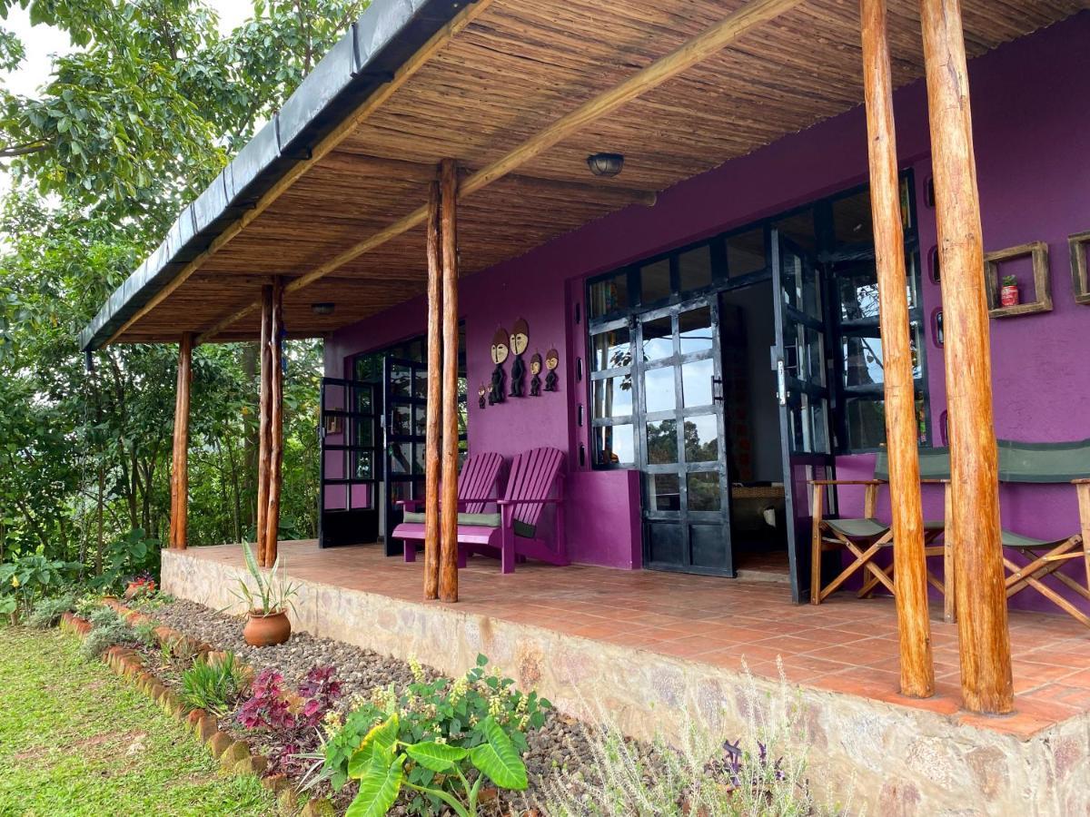 Chameleon Hill Forest Lodge Bwindi Impenetrable Park Exterior foto