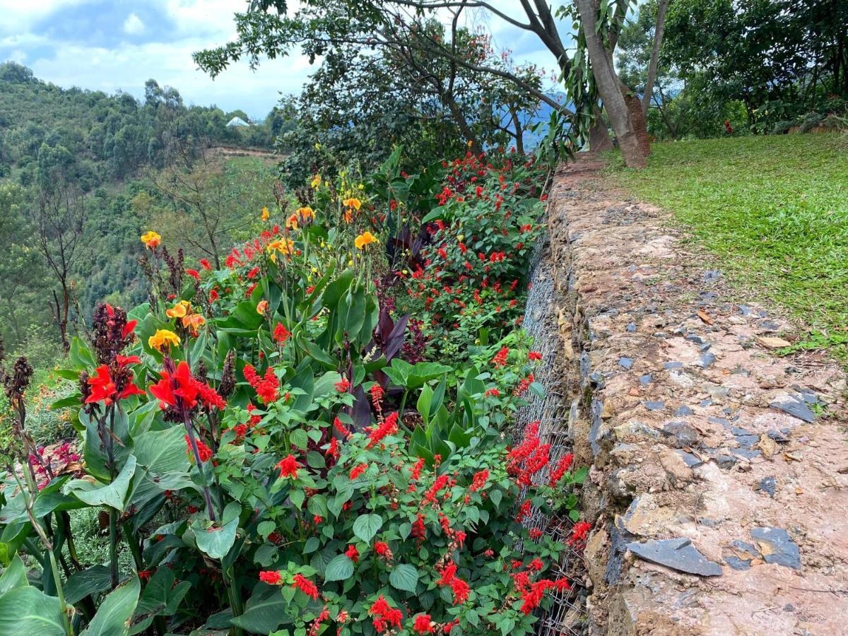 Chameleon Hill Forest Lodge Bwindi Impenetrable Park Exterior foto