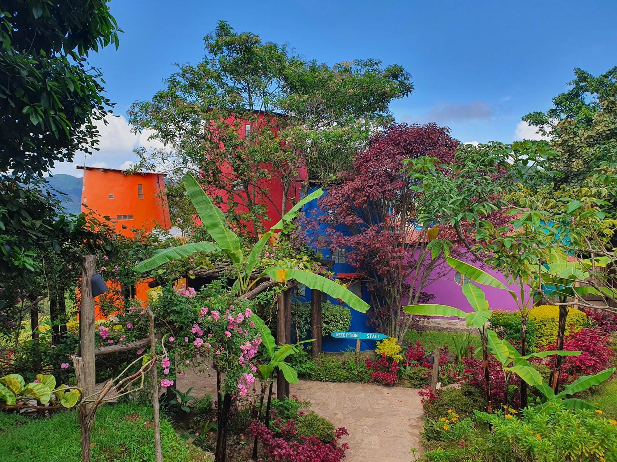 Chameleon Hill Forest Lodge Bwindi Impenetrable Park Exterior foto
